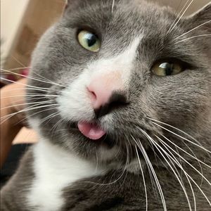 Meet your Posher, Lori